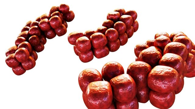 3d rendering of Sarcina, tetrad characteristic morphology and able to survive in extreme low pH environment. S. ventriculi and S. maxima within the genus Clostridium