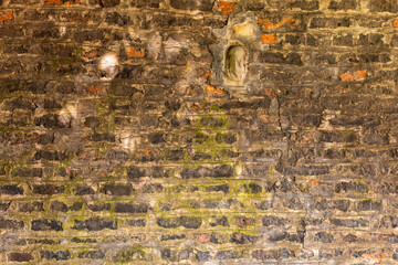 Close-up view of an old weathered brick wall with moss growth adding a touch of green © Poacher Pictures