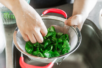 Washing Fresh Basil Herbs for Cooking