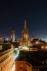 Cathedral of Barcelona at Night with City Lights