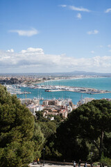 Fototapeta premium Harbour and City View of Palma De Malllorca, Spain