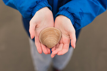 Little boy holds seashell in his hands