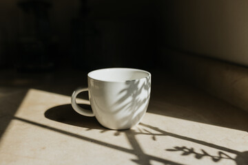 White coffee cup sits on countertop with dramatic shadows