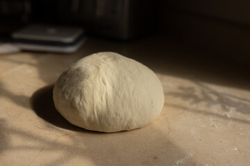 Freshly formed sourdough boule sits on kitchen countertop