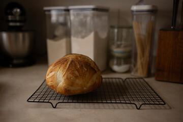 Freshly baked sourdough boule cools on kitchen counter on rack