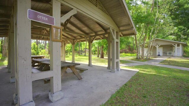 Highlands Hammock State Park Sebring Florida USA 4k HDR video