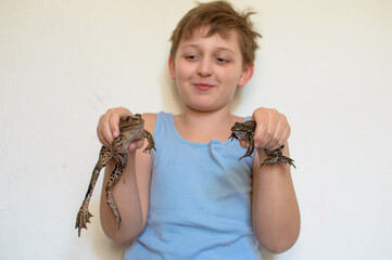 Boy holding a big toad in his hands. two frogs