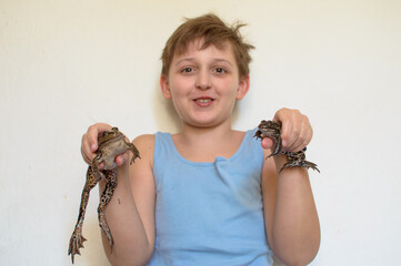 Boy holding a big toad in his hands. two frogs