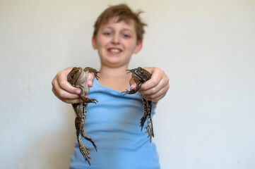 Boy holding a big toad in his hands. two frogs