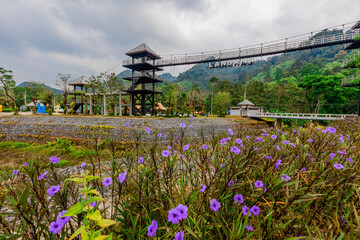 Blurred background of a mountain road view, from a car windscreen that runs with care, with natural scenery surrounded by plants, large trees
