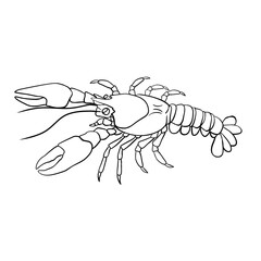 illustration of cartoon shrimp