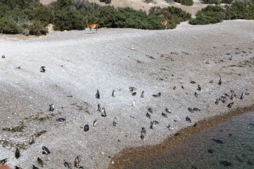 sand castle on the beach