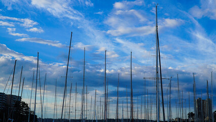 Rushcutters Bay yacht masts against the sky. Sydney Australia.Elizabeth Bay