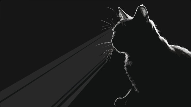 Cat illuminated by light on black background flat vector