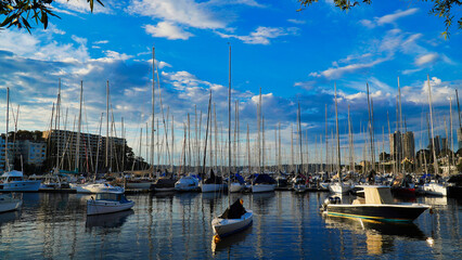 Rushcutters Bay yacht masts against the sky. Sydney Australia.Elizabeth Bay