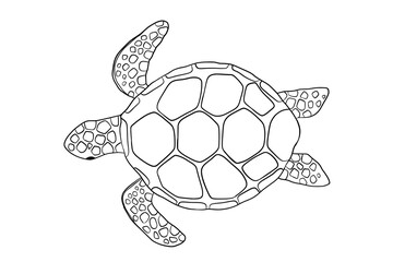 Vector outline swimming turtle isolated on white background. Hand drawn line doodle illustration ocean or underwater animal