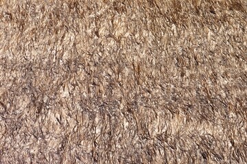 close up of dry grass for background