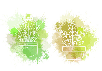 Vector set of white contour plants in pots clip arts with green watercolor splashes. Collection of outline flowers in vases for home decoration. Natural design elements for stickers, icons, articles