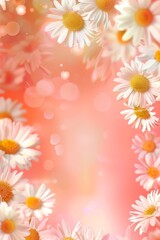 Fototapeta na wymiar Springtime Daisies on Peachy Background