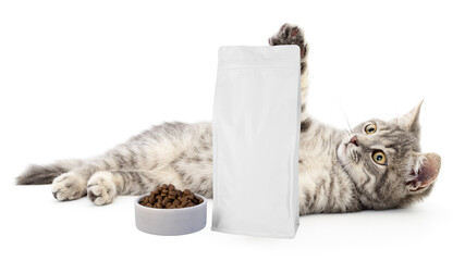 Pet food. Hungry cat with food pouch and bowl and cat hand in pouch isolated on white background