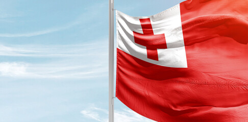 Tonga national flag with mast at light blue sky.