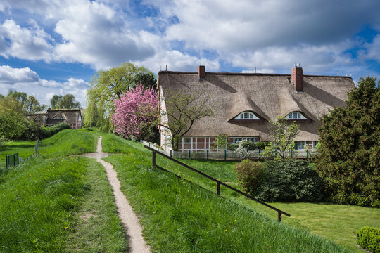 Fussweg Estedeich im Alten Land Fr&uuml;hling