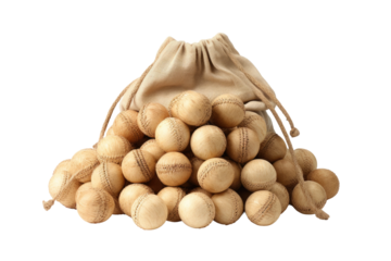 The All-Star Bag: A Collection of Baseballs