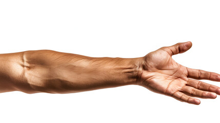 Hand Reaching Out - Isolated White Background. Human Arm Closeup Concept for Reaching Up