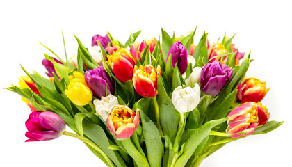 Obraz premium Bunter Tulpen Blumenstrauss isoliert auf weißen Hintergrund, Freisteller 