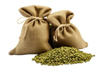 Bountiful Harvest: Two Bags Overflowing With Fresh Green Beans Beside a Pile of Produce