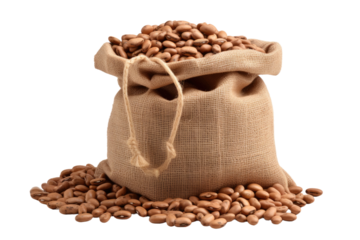 Mystical Moonlit Beans Dance