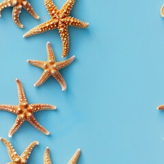 A group of starfish sitting on top of a blue surface. Suitable for marine life concepts
