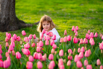 Kid hold pink tulip flower. Child in tulips garden. Little boy play in Blooming tulips field on spring day. Spring kids face. Child smelling tulip in spring park. Children spring concept. - 786950687