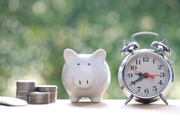 Piggy bank and alarm clock on green background,Save money for prepare in the future concept