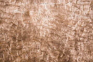 Natural Beauty, Wood Grain Texture Background.
