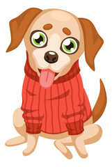 Cute puppy in sweater. Small breed dog character