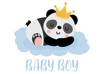 Cute prince panda baby boy