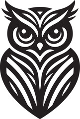 black and white owl