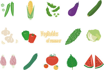 テクスチャーのある夏野菜のセット