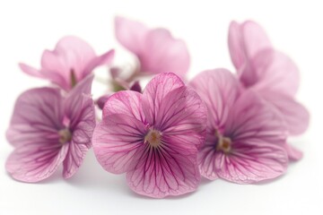 A bunch of pink flowers on a white surface. Perfect for spring or feminine themes