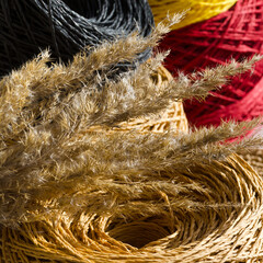 Rolls of colored raffia close-up and a branch of dry reeds. Skeins of multi-colored raffia.