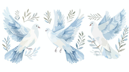 Dove of peace. Flying and standing Birds with an olive