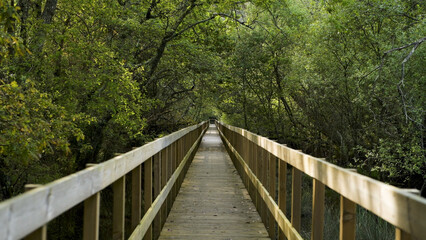 Fototapeta premium Wooden pathway in Lagoas de Bertiandos