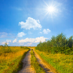 Fototapeta na wymiar ground road among green prairie at summer sunny day