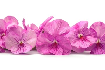 Group of pink flowers on a white surface. Suitable for floral backgrounds