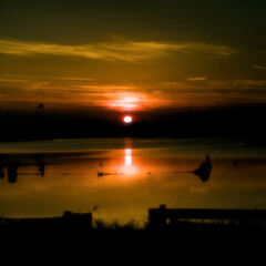 Sunset at Pialassa Piomboni, Ravenna