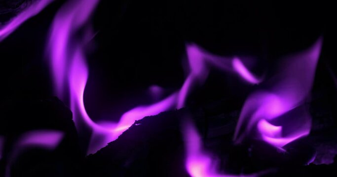fire with purple flames. purple flames close-up. purple fire. fire magic close-up.