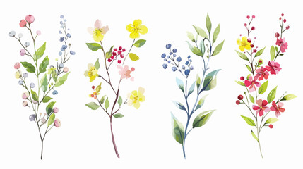 Four Branches with Flowers Leaves and Berries. Hand dr - obrazy, fototapety, plakaty