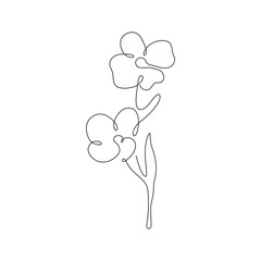 Line art minimalist flower