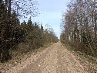 Road in forest in Siauliai county during cloudy early spring day. Oak and birch tree woodland. Cloudy day with white clouds in blue sky. Bushes are growing in woods. Sandy road. Nature. Miskas.	